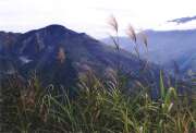 Ji�n� ��st Baliemsk�ho �dol�. Papua, Indon�sie.