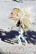 Nesen� sena na trh. Lalibela. Sever, Etiopie.