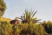 K�es�ansk� hrob. Lalibela. Sever, Etiopie.