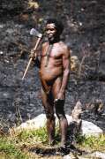 Domorodec z kmene Dani. Papua, Indon�sie.