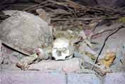 Ostatky v bl�zkosti chr�mu Sv. Ji��. Lalibela. Sever, Etiopie.