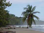 Pl� v Manzanillo. Kostarika.