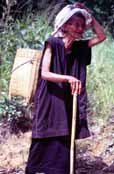 �ena z horsk�ho kmene Pa-O. Oblast jezera Inle. Myanmar (Barma).