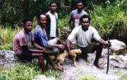 Domorodci z vesnice Wamerek. Baliemsk� �dol�. Papua, Indon�sie.