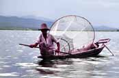 Ryb�� na jeze�e Inle. Myanmar (Barma).
