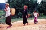 Na cest� z trhu. Myanmar (Barma).
