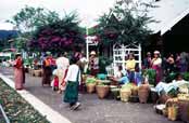 Na �elezni�n�m n�dra��. Oblast okolo vesnice Kalaw.  Myanmar (Barma).