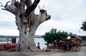 U �eky Ayeyarwady v Mandalay. Myanmar (Barma).