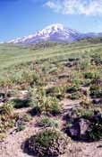 Mt Damavand - nejvy��� hora �r�nu. �r�n.