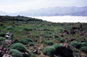 V okol� hory Mt Damavand. �r�n.