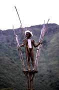 Domorodec z kmene Dani. Papua, Indon�sie.