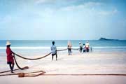 Ryb��i tahaj� nekolik set metr� dloh� s�t� za hlasit�ho zp�vu. Arugam Bay. Sr� Lanka.
