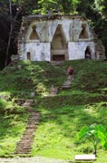 Chr�m listov�ho k��e, Palenque. Mexiko.