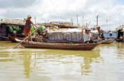 �ivot na vod� v Mekong delt�.  Vietnam.