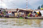 �ivot na vod� v Mekong delt�.  Vietnam.