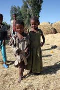 Ji�n� od Addis Abbeby. Jih, Etiopie.