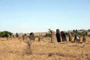 Menhiry, Tiya, ji�n� od Addis Abbeby. Jih, Etiopie.