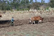 Vesnice ji�n� od Addis Abbeby. Jih, Etiopie.