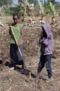 Vesnice ji�n� od Addis Abbeby. Jih, Etiopie.