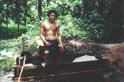 Zpracov�n� s�ga. Ostrov Siberut. Sumatra, Indon�sie.