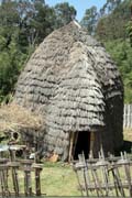 Slon� d�m, okol� Dorze. Etiopie.