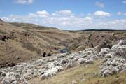 N�rodn� park Bale Mountain. Jih,  Etiopie.