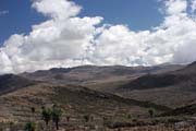 N�rodn� park Bale Mountain. Etiopie.