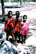 Papu�nsk� d�ti z vesnice Wamerek. Ji�n� ��st Baliemsk�ho �dol�. Papua, Indon�sie.