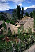 Tradi�n� vesnice Dani�. Ji�n� ��st Baliemsk�ho �dol�. Papua, Indon�sie.