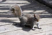 Loring Park, Minneapolis, Minnesota. Spojen� st�ty americk�.