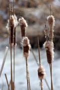 Loring Park, Minneapolis, Minnesota. Spojen� st�ty americk�.