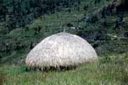 Ch�� kmene Dani. Papua, Indon�sie.