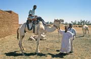 Velbloud� trh na okraji trhu Lybia. Chart�m (Omdurman). S�d�n.