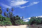 Ostrov Bunaken. Sulawesi, Indon�sie.