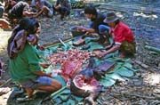 Na poh�ebn� slavnosti. P��prava j�dla na jednu z mnoha hostin. Oblast Tana Toraja. Sulawesi, Indon�sie.