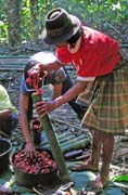 Na poh�ebn� slavnosti. P��prava j�dla na jednu z mnoha hostin. Oblast Tana Toraja. Sulawesi, Indon�sie.