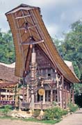Tradi�n� d�m tongkonan, oblast Tana Toraja. Sulawesi, Indon�sie.