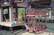 V�roba poh�ebn�ch m�r na poh�ebn� slavnost. Oblast Tana Toraja. Sulawesi, Indon�sie.