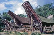 Tradi�n� domy tongkonan, oblast Tana Toraja. Sulawesi, Indon�sie.