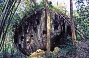 Hroby jsou v dne�n� dob� tes�ny ve skal�ch. Oblast Tana Toraja. Sulawesi, Indon�sie.