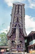 Tradi�n� d�m tongkonan, oblast Tana Toraja. Sulawesi, Indon�sie.