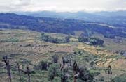 Pohled na krajinu v oblasti Tana Toraja. Sulawesi, Indon�sie.