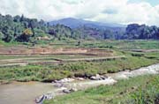 R��ovi�t�, �dol� Mamasa, oblast Tana Toraja. Sulawesi, Indon�sie.