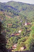 Krajina cestou z Mamasy do Rantepaa. Oblast Tana Toraja. Sulawesi, Indon�sie.