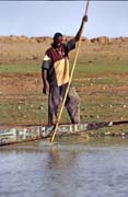 �ivot na �ece Niger. Mali.