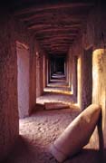 Hrobka vl�dce Askia. M�sto Gao. Mali.