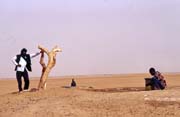 Studna na okraji o�zy. Pou�� Sahara. Mali.