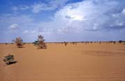 Pou�� Sahara. Mali.
