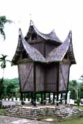 S�pka na r���. Sumatra, Indon�sie.