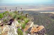 N�rodn� park Flinders Ranges. Austr�lie.